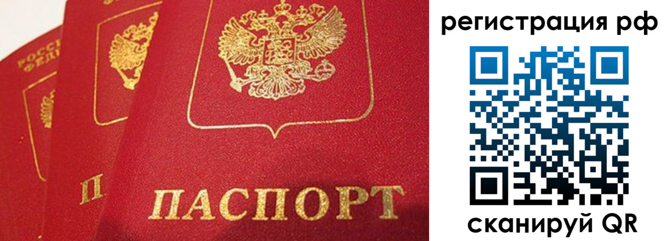 прописка поиск в Камчатской области